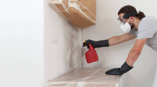 Professional Bathroom Mold Removal technician working in Estero, FL