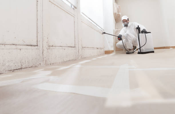 24/7 Emergency Bathroom Mold Removal experts in Estero, FL